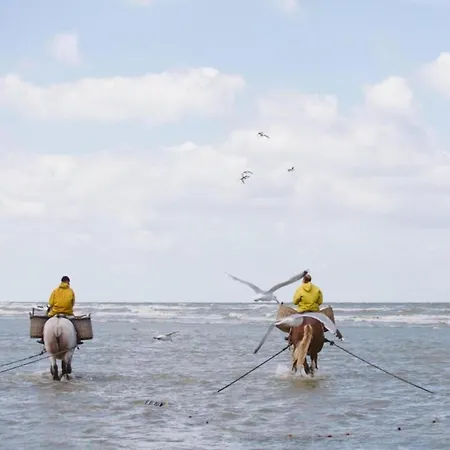 In Near The Апартаменты