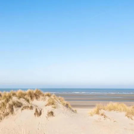 In Near The Apartament *