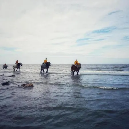 In Near The Апартаменты *