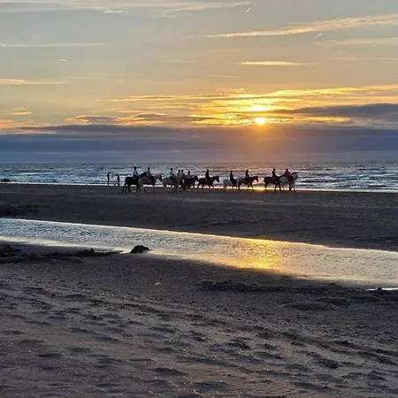 In Near The Apartament *