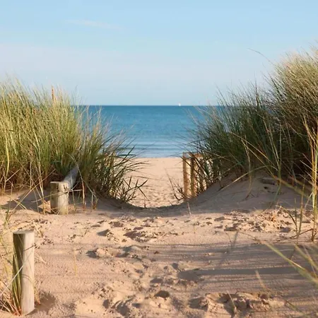 In Near The Apartament